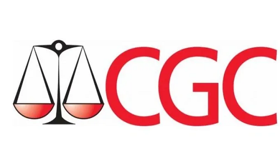 🔍 About Our Collection